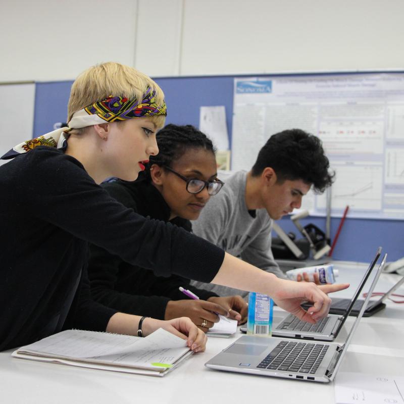 Students looking at laptops