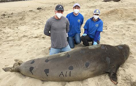 Daniel Crocker, students and sea lion