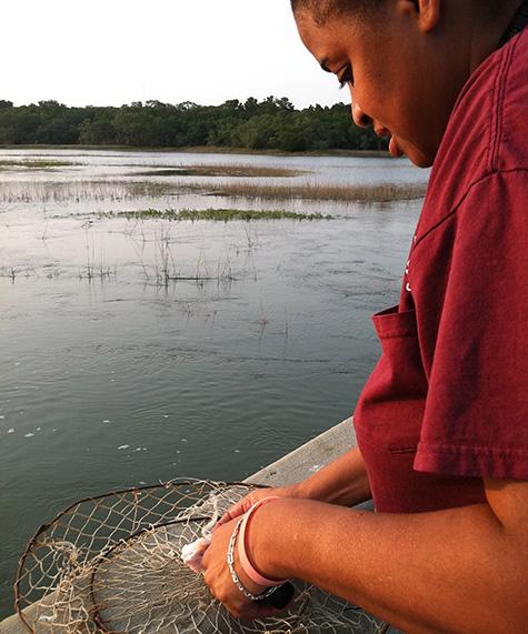 fishing with a crab basket