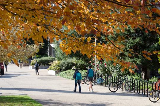 campus shot- Autumn leaves 