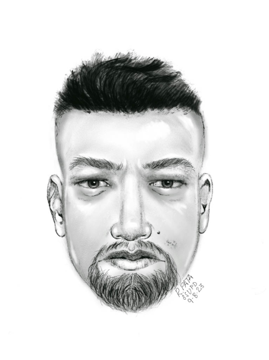 police sketch of full face