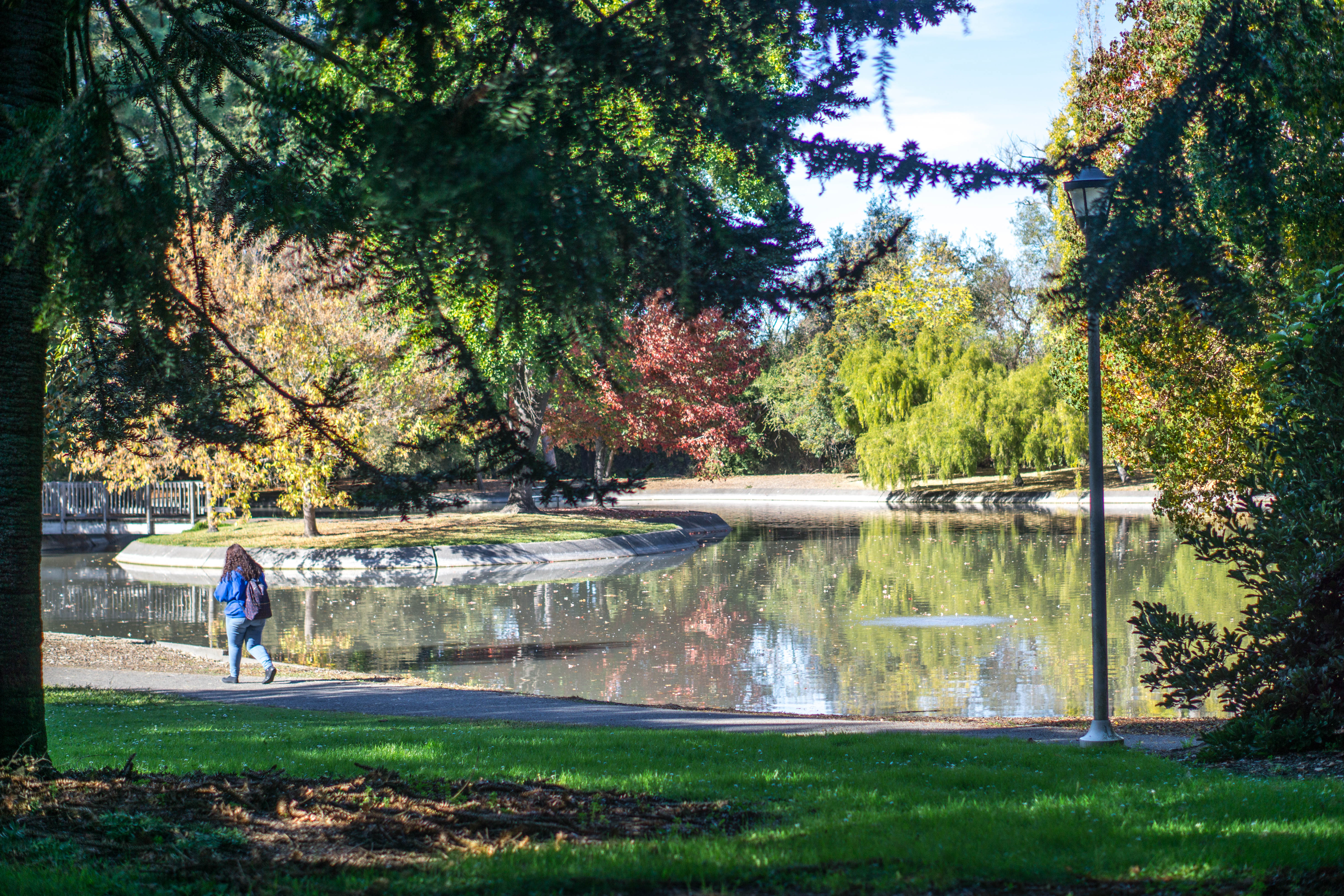 Student walking, campus lake
